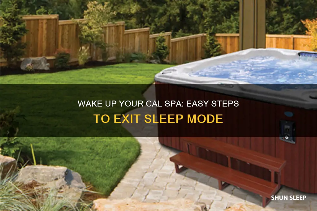 how to get cal spa out of sleep mode