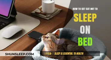 Keep Your Cat Off the Bed: Effective Tips for Peaceful Nights