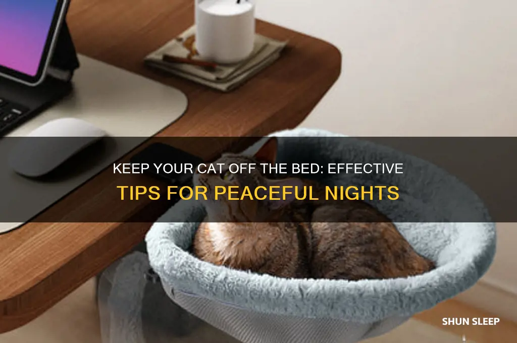 how to get cat not to sleep on bed