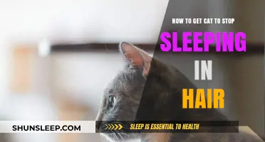 Preventing Feline Hair Naps: Tips to Keep Cats Out of Your Hair