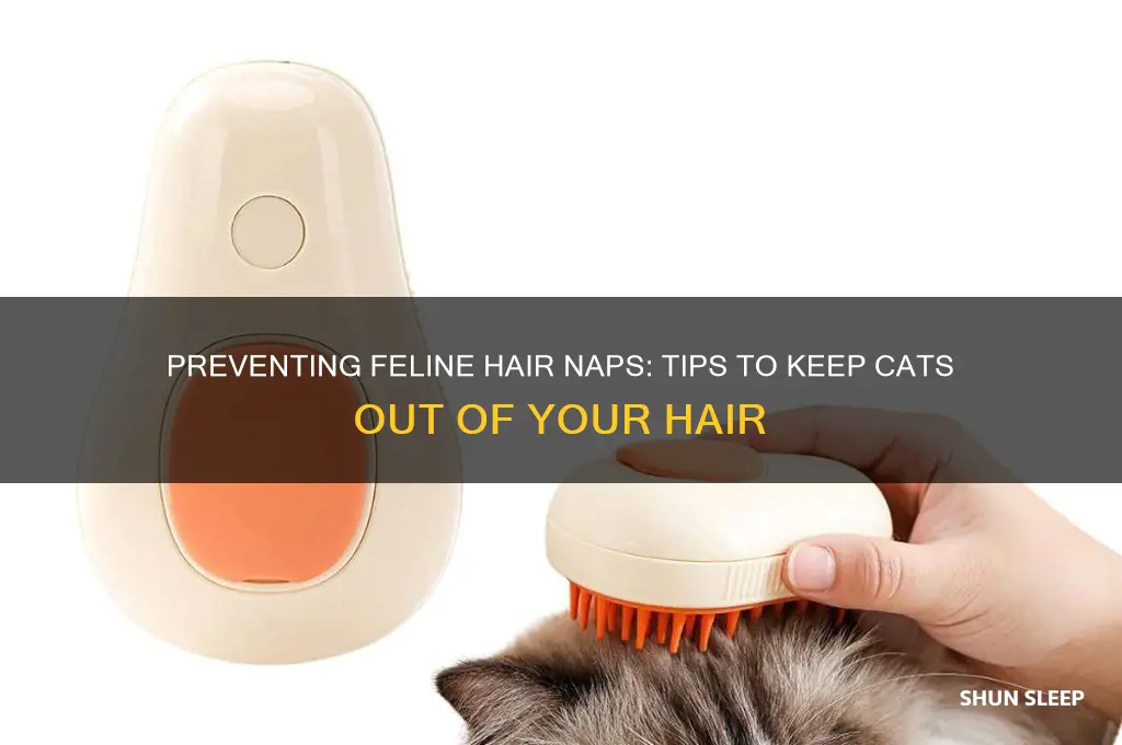 how to get cat to stop sleeping in hair