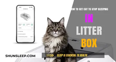Why Cats Sleep in Litter Boxes and How to Stop It