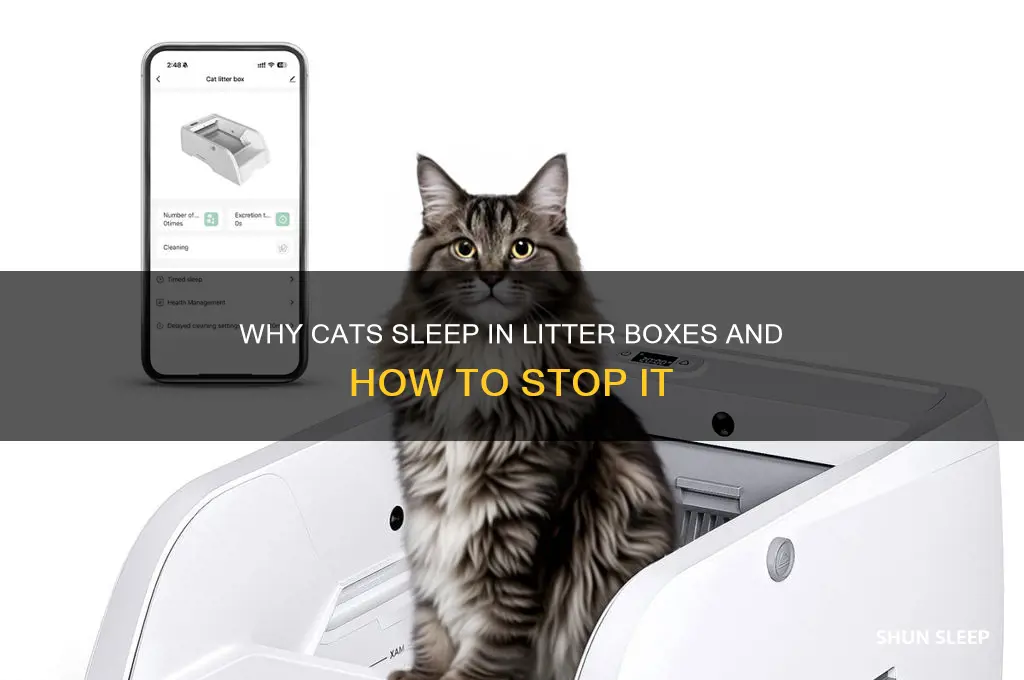 how to get cat to stop sleeping in litter box