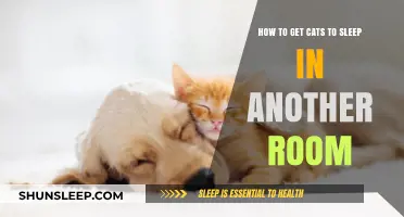 Encouraging Cats to Sleep in Another Room: Gentle Strategies for Success