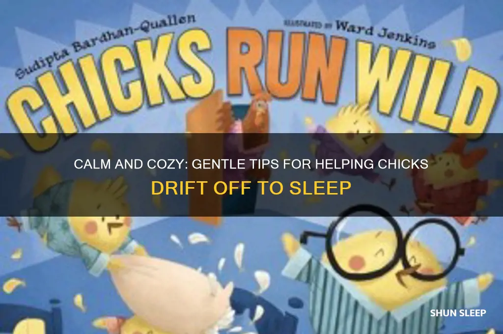 how to get chicks to go to sleep