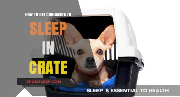 Crate Training Your Chihuahua: Tips for Peaceful Sleep and Comfort