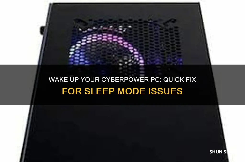 how to get cyberpower out of sleep