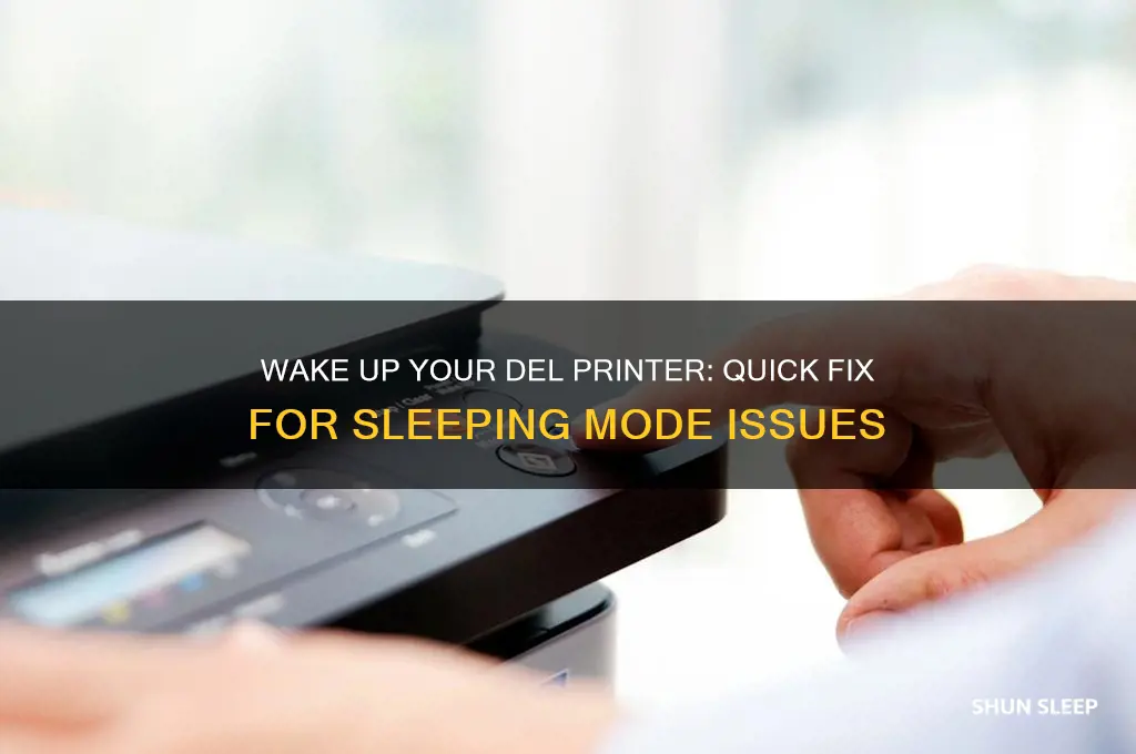 how to get del printer out of sleeping mode