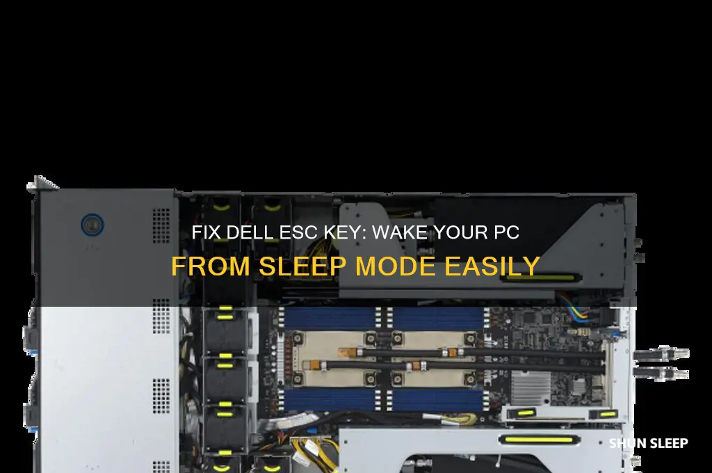 how to get dell esc button to wake from sleep
