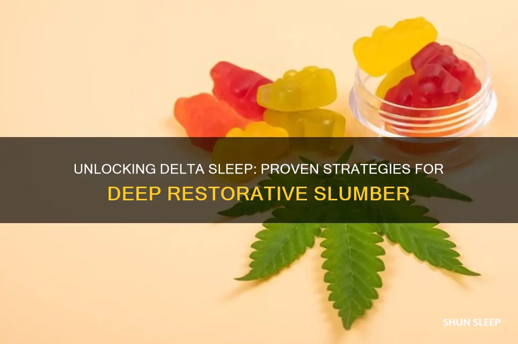 how to get delta sleep