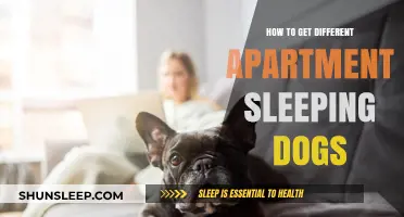 Unlocking Apartment Variety in Sleeping Dogs: Tips for Diverse Living Spaces