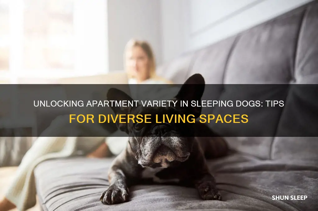 how to get different apartment sleeping dogs