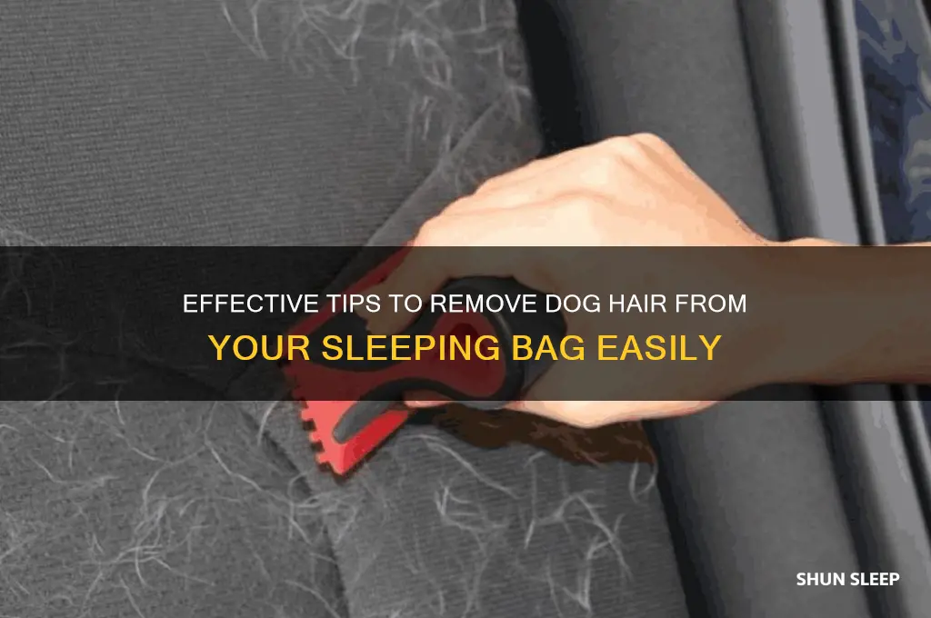 how to get dog hair off sleeping bag