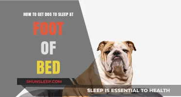 Train Your Dog to Sleep at the Foot of Your Bed
