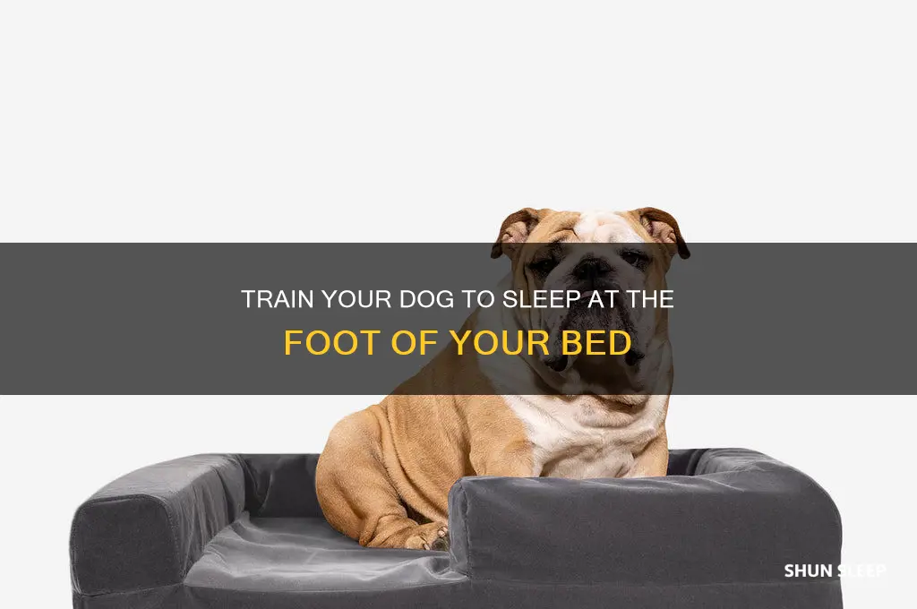 how to get dog to sleep at foot of bed
