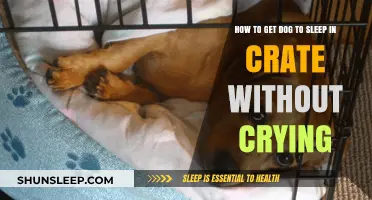Train Your Dog to Sleep in Crate Calmly: Effective Tips