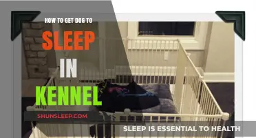 Training Your Dog to Love Sleeping in Their Kennel: Tips and Tricks