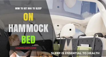 Cozy Canine Comfort: Training Your Dog to Love Hammock Beds