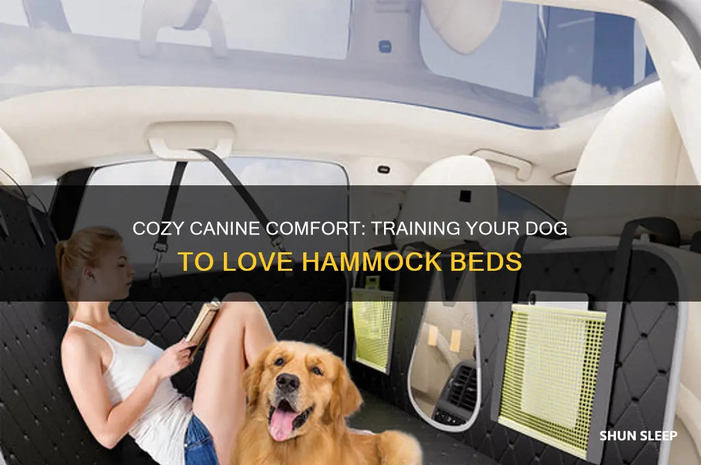 how to get dog to sleep on hammock bed