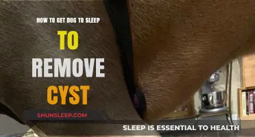 Helping Your Dog Sleep for Cyst Removal: Tips and Tricks