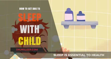 Safe and Cozy: Tips for Getting Your Dog to Sleep with Your Child