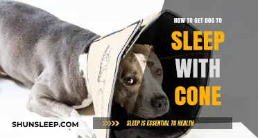 Helping Your Dog Sleep Comfortably with a Cone: Tips and Tricks