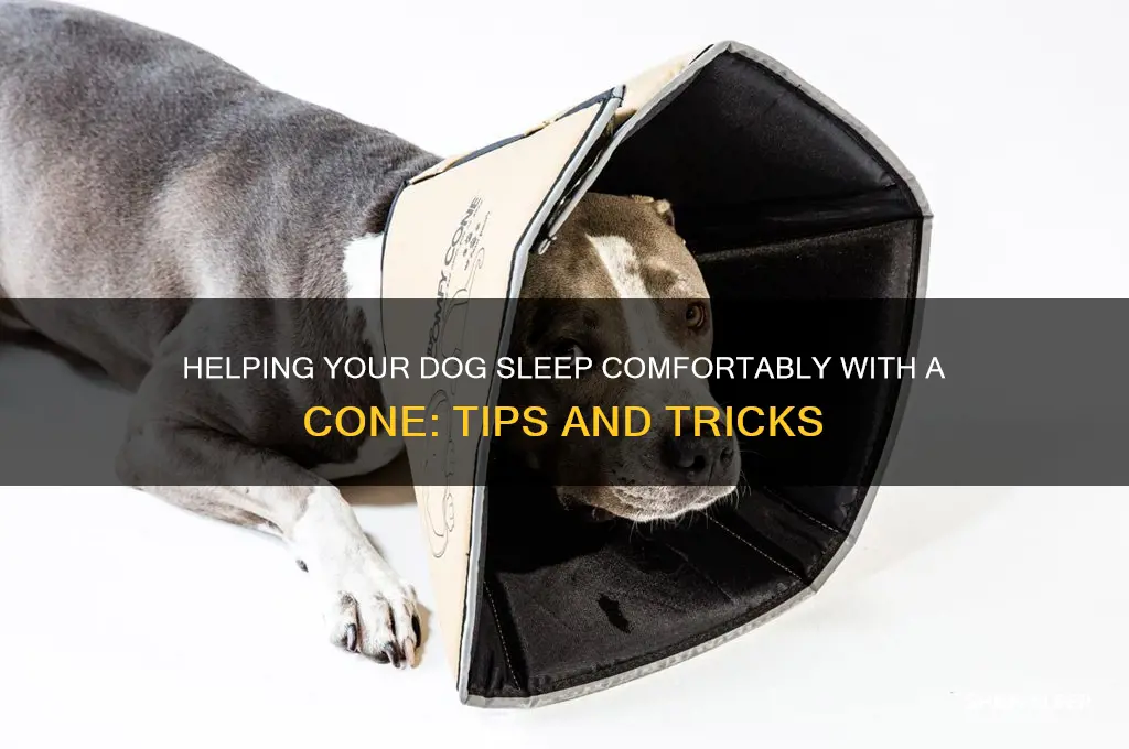 how to get dog to sleep with cone