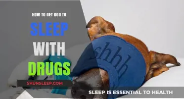 Safe and Effective Ways to Help Your Dog Sleep with Medication