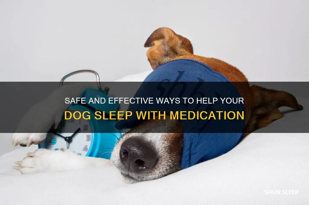 how to get dog to sleep with drugs