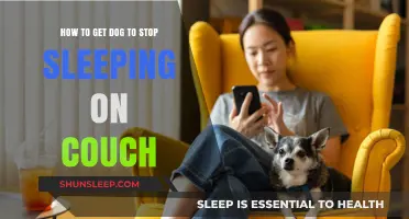 Train Your Dog: Effective Tips to Keep Couch Sleeping at Bay