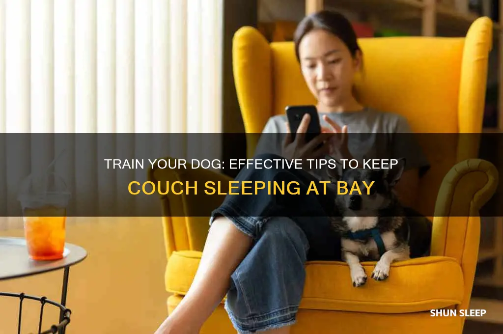 how to get dog to stop sleeping on couch
