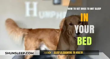 Train Your Dog to Sleep Alone: Tips for a Pet-Free Bed
