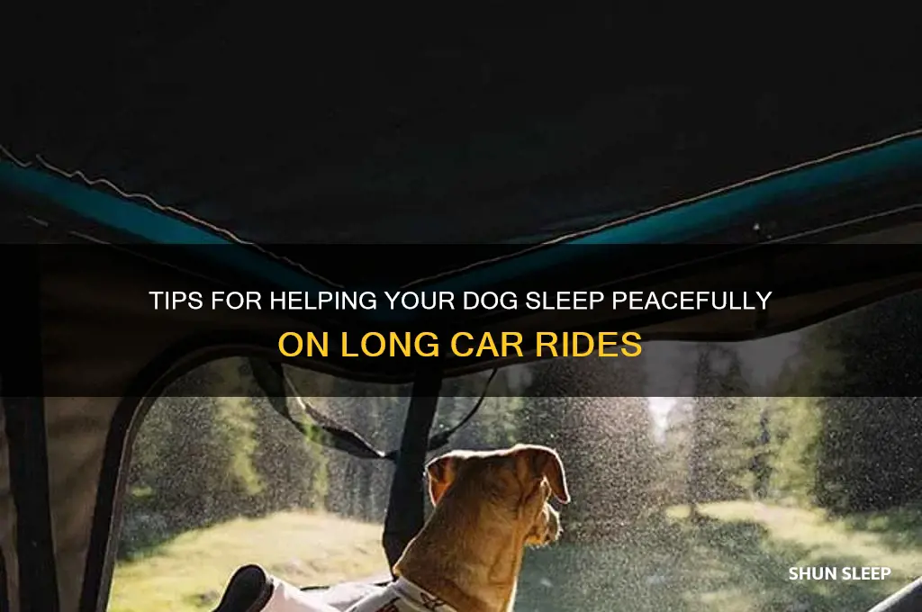 how to get dogs to sleep during a long drive