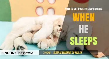 Quiet Nights: Training Your Dog to Sleep Without Barking