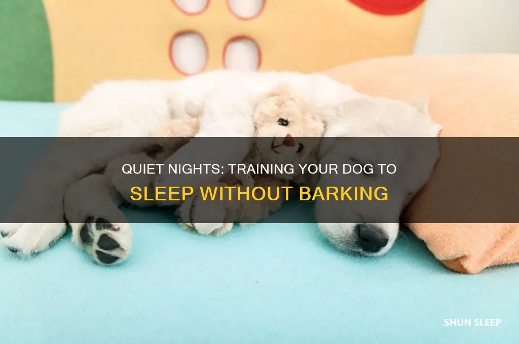 how to get dogs to stop barking when he sleeps