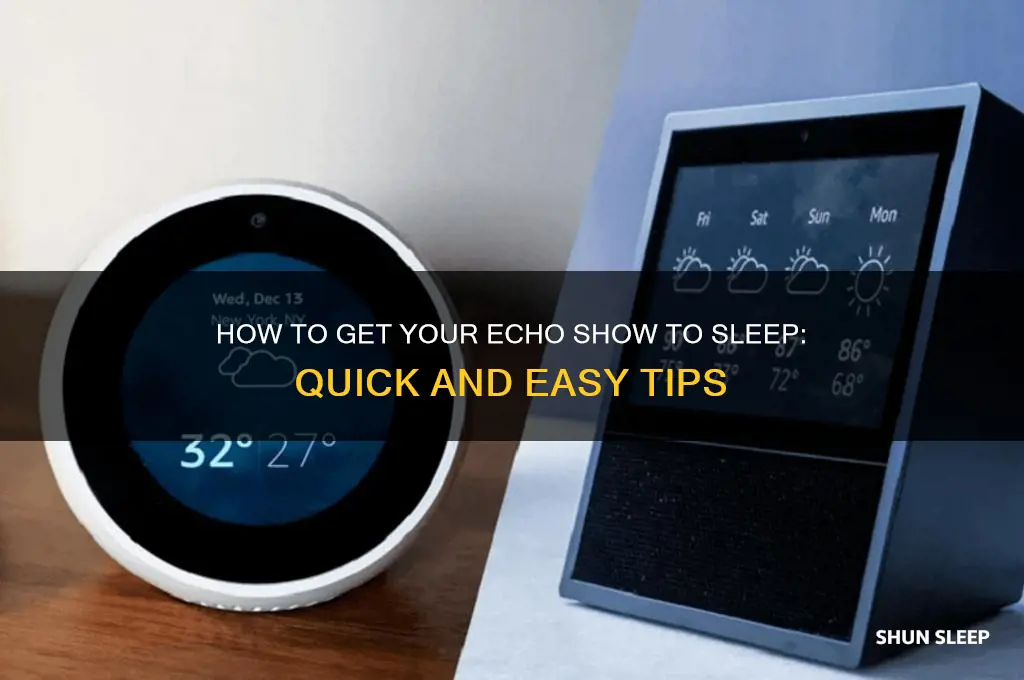 how to get echo show to sleep