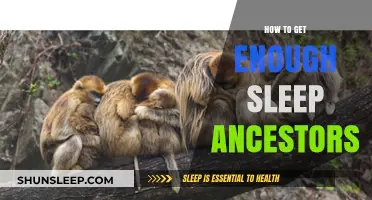 Ancestral Sleep Secrets: How to Get Enough Rest Like Our Forebears