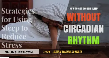 Mastering Rest: Strategies for Sleep Without a Circadian Rhythm