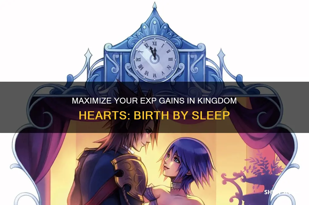 how to get exp boost in birth by sleep