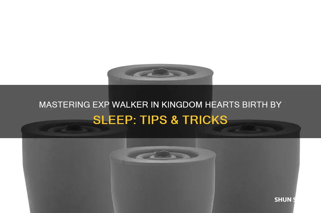 how to get exp walker kingdom hearts birth by sleep