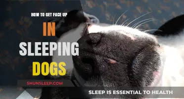 Mastering Face-Up Sleeping in Dogs: Tips for Better Rest and Health
