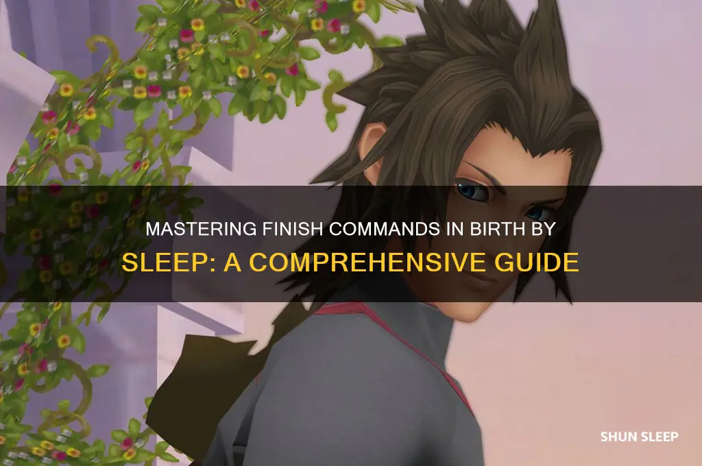 how to get finish commands in birth by sleep