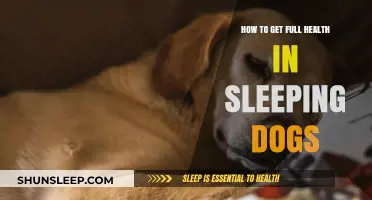 Maximize Your Health in Sleeping Dogs: Essential Tips and Strategies