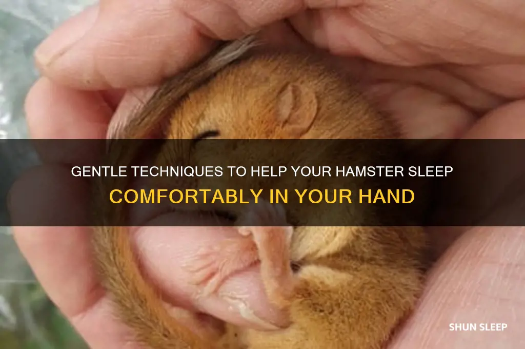 how to get hamster to sleep in hand