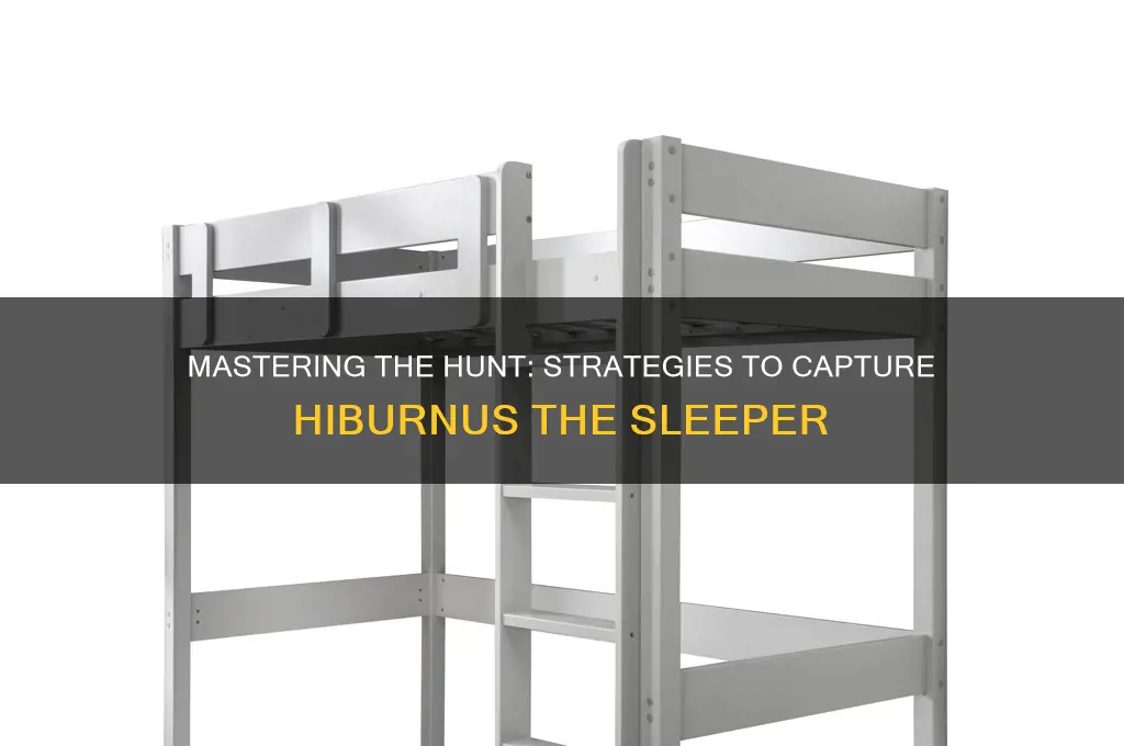 how to get hiburnus the sleeper