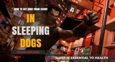 Mastering Triad Missions: Tips to Maximize Your Score in Sleeping Dogs