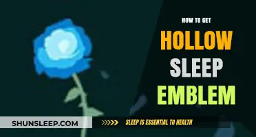 Mastering Hollow Sleep Emblem: Tips and Tricks for Acquisition