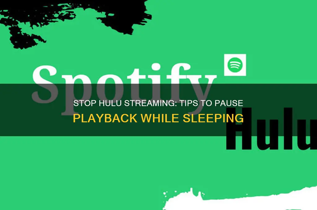 how to get hulu to cut off while sleep
