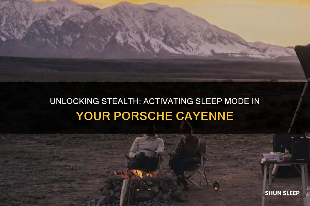 how to get in a porsche cayenne in sleep mode