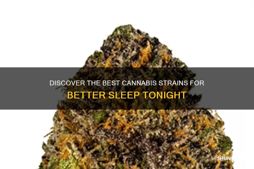 how to get information about best cannibis for sleep